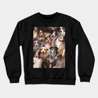 Australian Shepherds Crewneck Sweatshirt